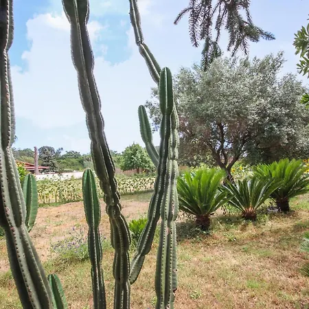 2 Bedroom Awesome In Holiday home *